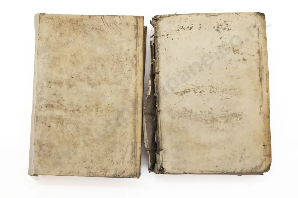 Athanasius (In Latin & Greek) 2 Volumes Image 1++