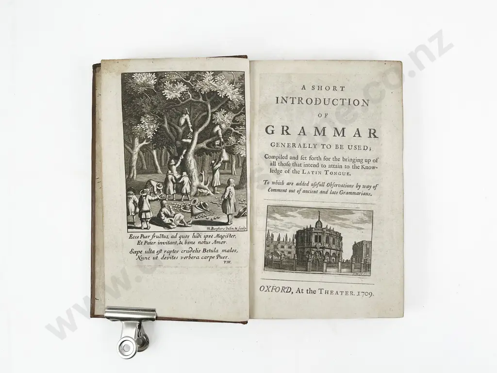 Lily William - A Short Introduction Of Grammar Image 1++