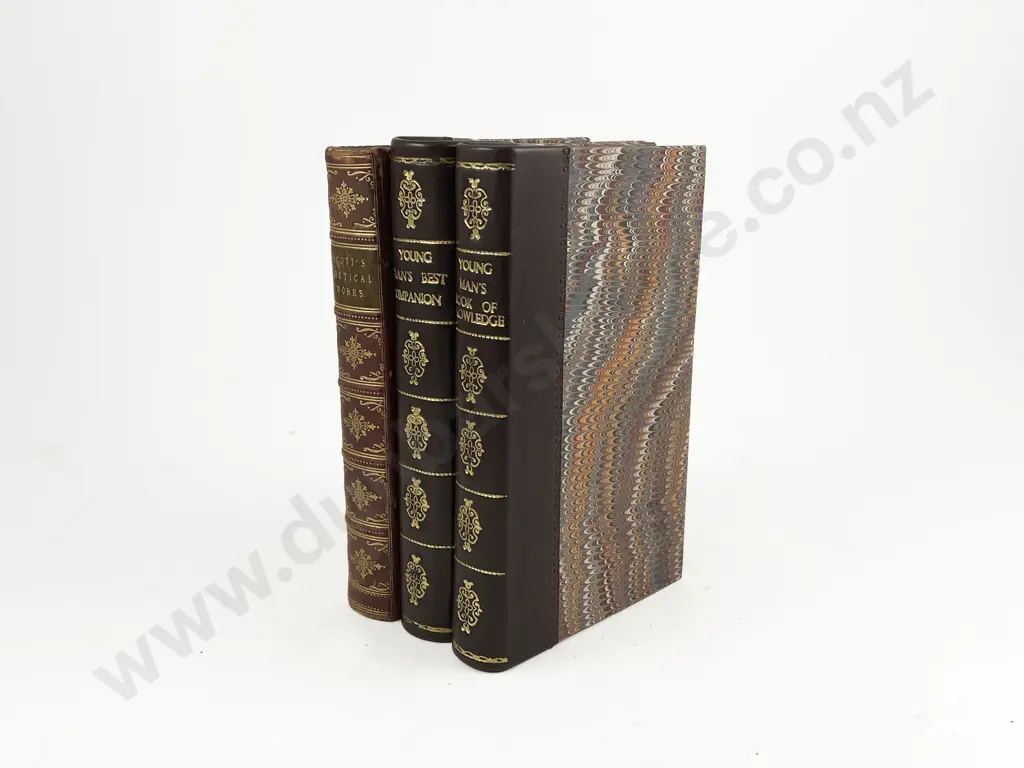 Young Mans Best Companion & Young Mans Book Of Knowledge & Other Poetry Volume Image 1++