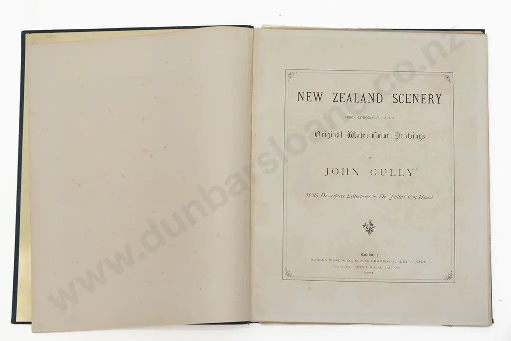Gully's New Zealand Scenery 1877 Image 1++