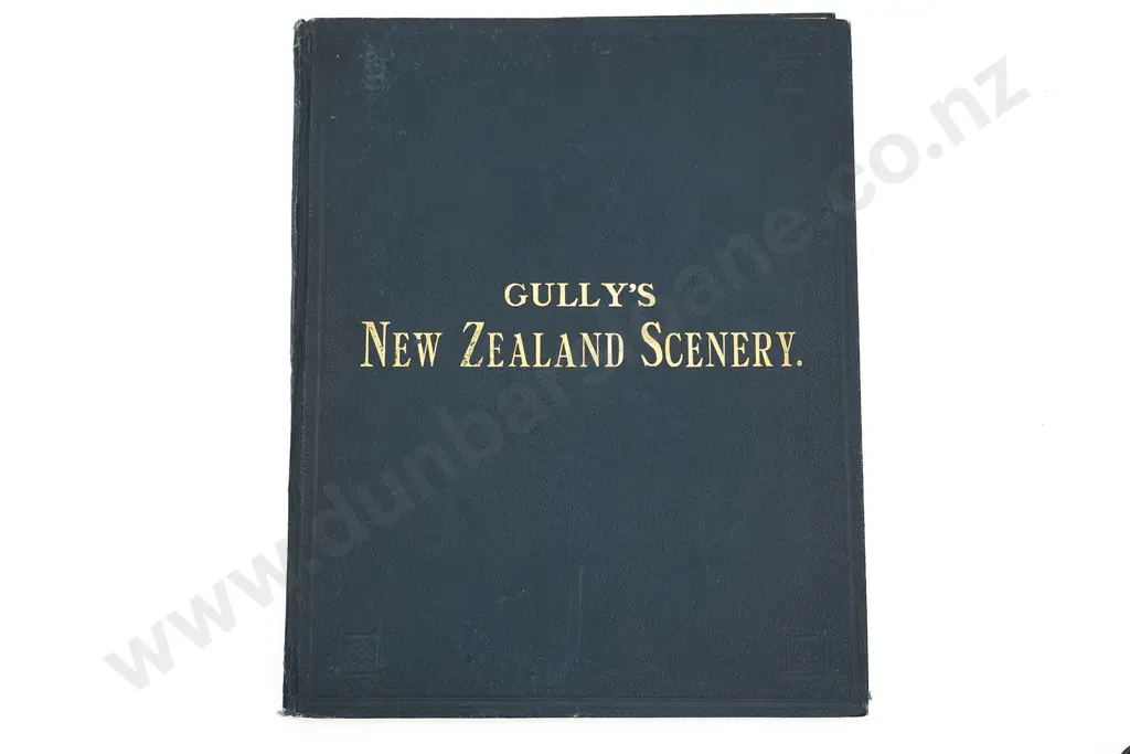 Gully's New Zealand Scenery 1877 Image 1++