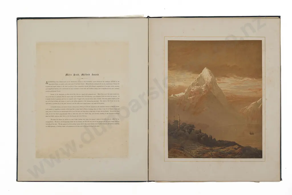 Gully's New Zealand Scenery 1877 Image 1++