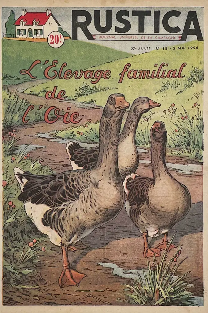Three 1950s French Rustica Journal Covers Image 1++