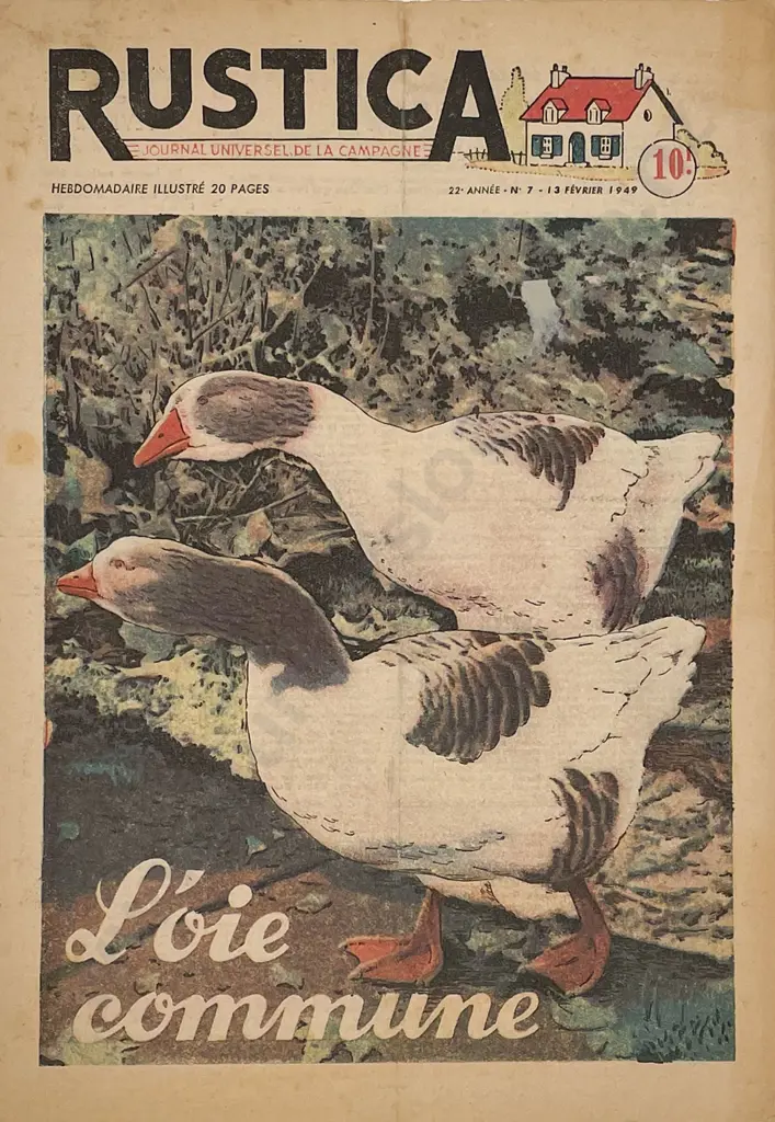 Three 1950s French Rustica Journal Covers Image 1++