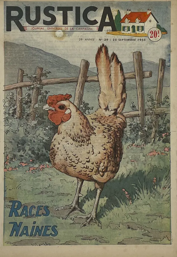 Two 1950s French Mounted Rustica Journal Covers Image 1++