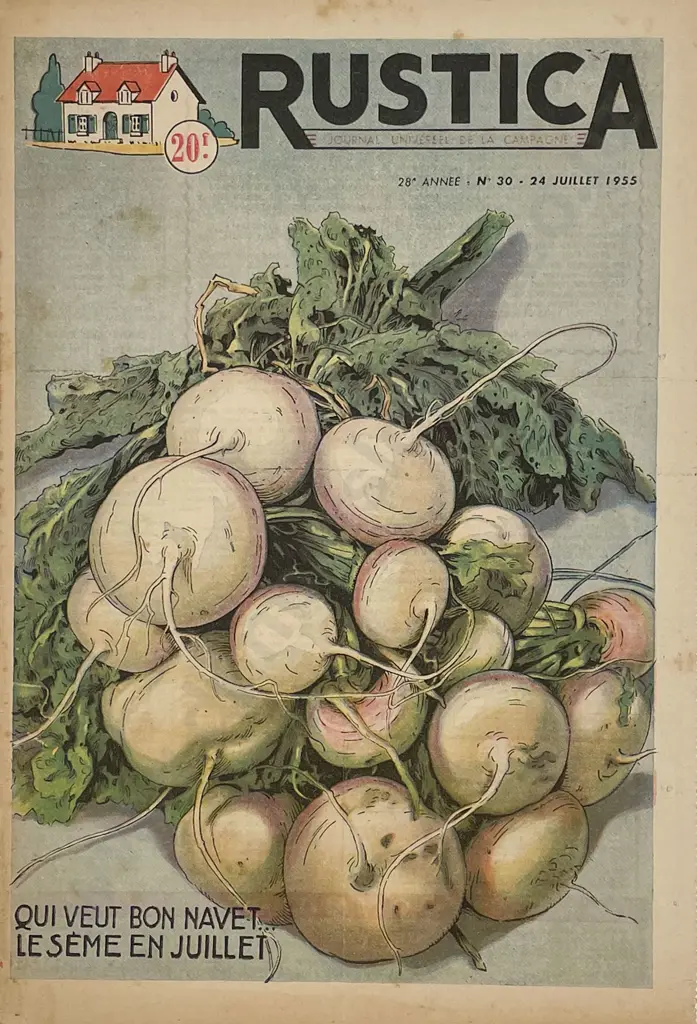 Three 1950s Mounted French Rustica Journal Covers Image 1++