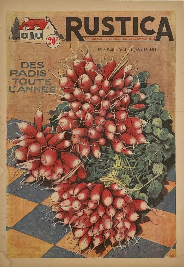 Three 1950s Mounted French Rustica Journal Covers Image 1++