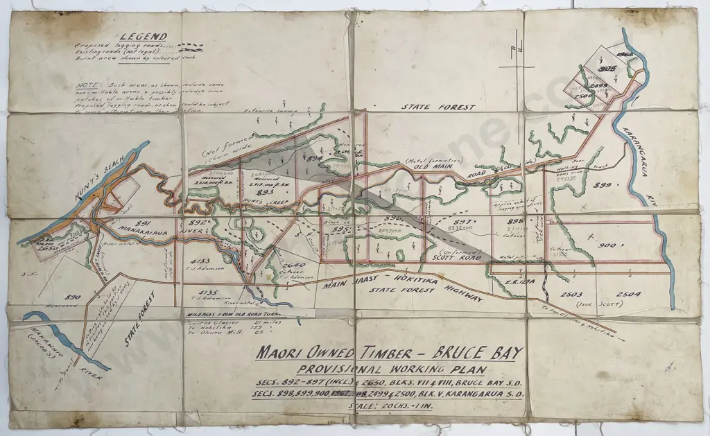 Interesting Vintage Hand Drawn & Painted Map Of Maori Owned Timber Sections At Bruce Bay Image 1++