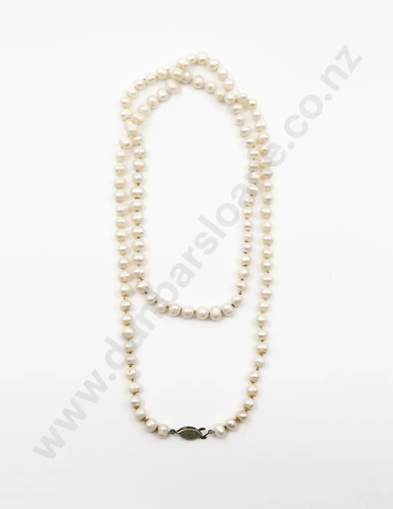 Single Strand Near Uniform Fresh Water Pearl Necklace Image 1++