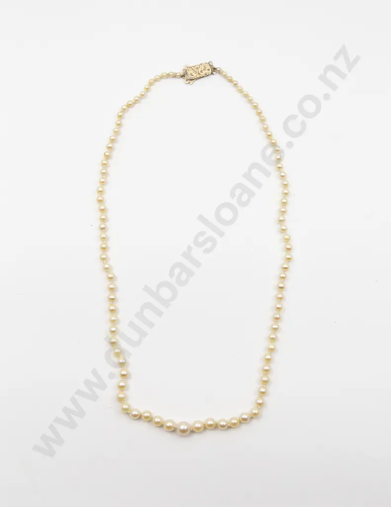 Single Strand Graduated Cultured Pearl Necklace Image 1++