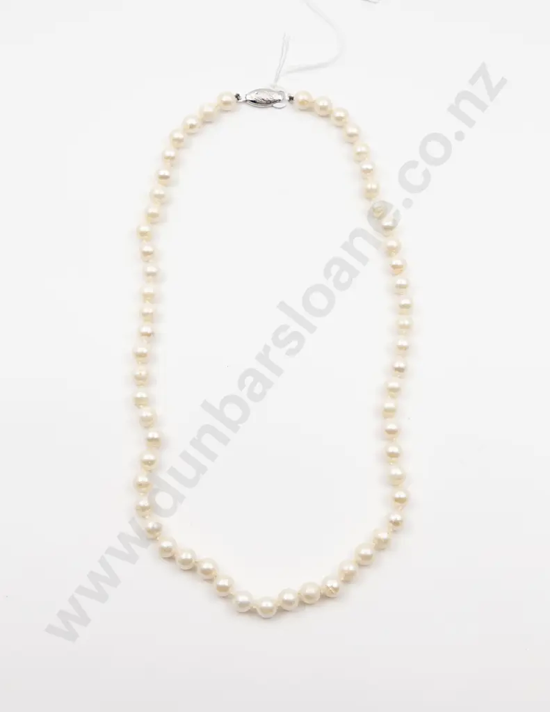 Single Strand Uniform Cultured Pearl Necklace Image 1++