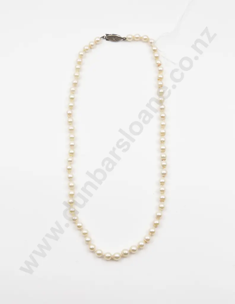 Single Strand Uniform Cultured Pearl Necklace Image 1++
