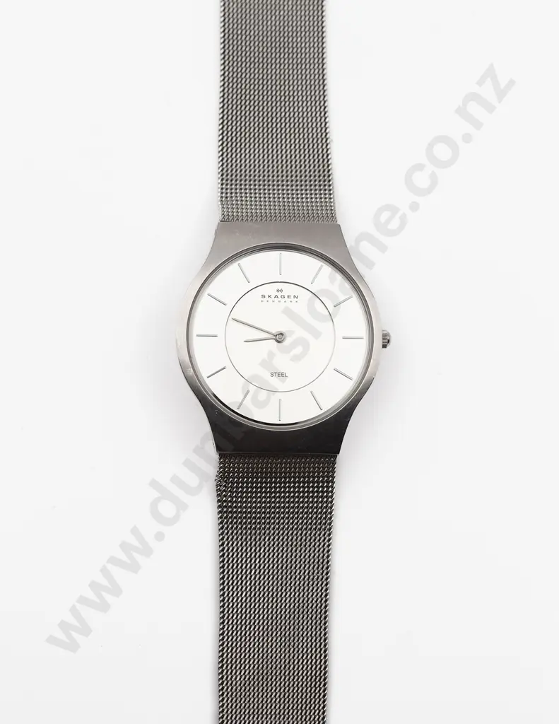 Skagen Denmark 233LSS Polished Steel Wrist Watch Image 1++
