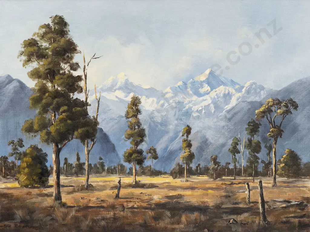 Star Robertson - Mount Cook at Fox Image 1++