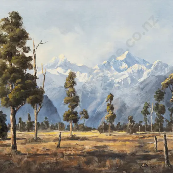 Star Robertson - Mount Cook at Fox