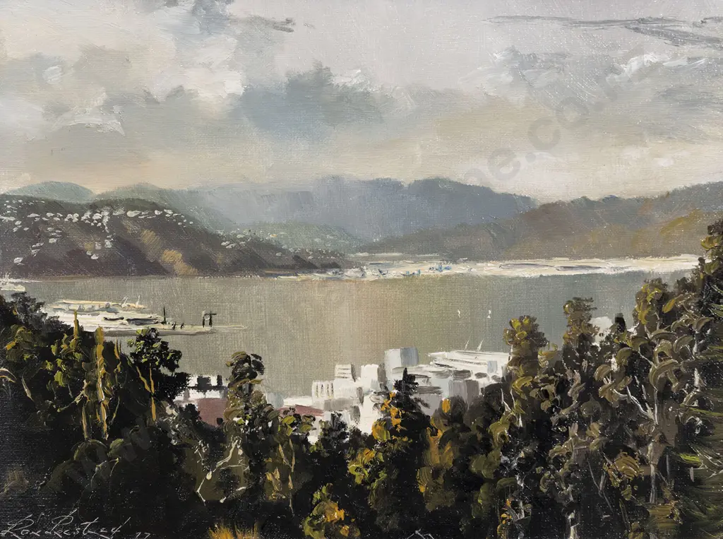 Ron Prestney - Wellington Harbour from Brooklyn Image 1++