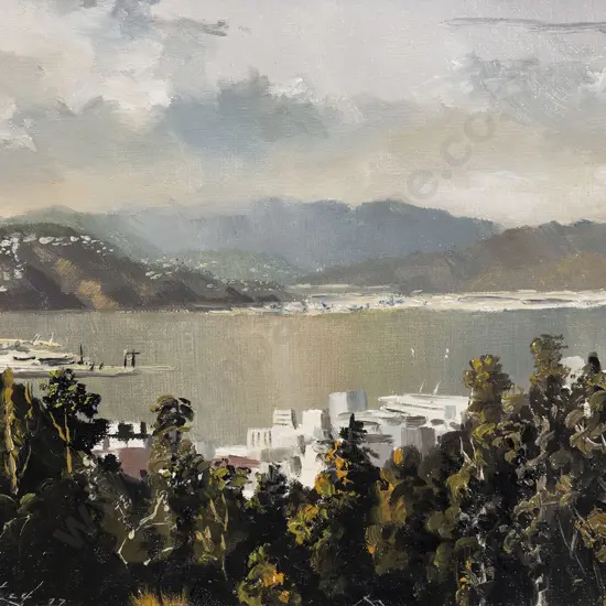Ron Prestney - Wellington Harbour from Brooklyn