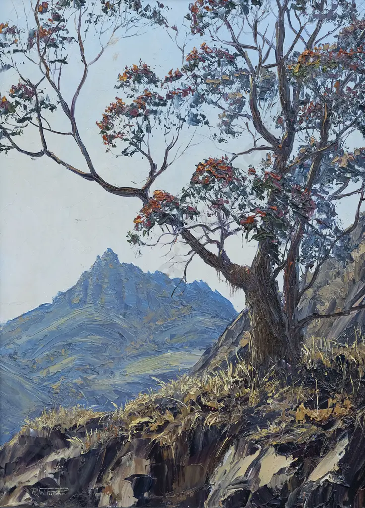 Richard Ponder - Metrosideros Image 1++