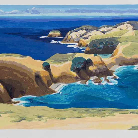 Tom Burnett - Cape Brett