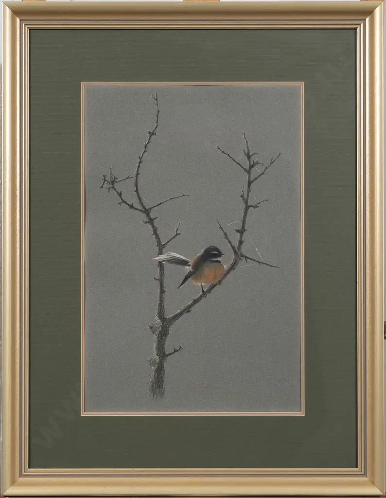 Phillip John Waddington - Fantail Image 1++
