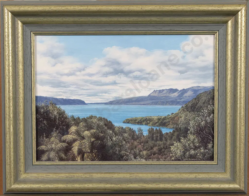 June Brunsdon - "Lake Tarawera" Image 1++