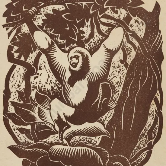E. Mervyn Taylor - Ape