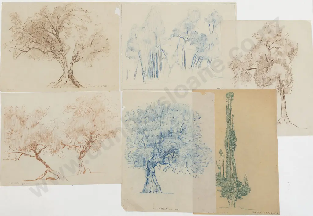 John Weeks (1888-1965) - Ten Sketchbook Studies of Trees Image 1++