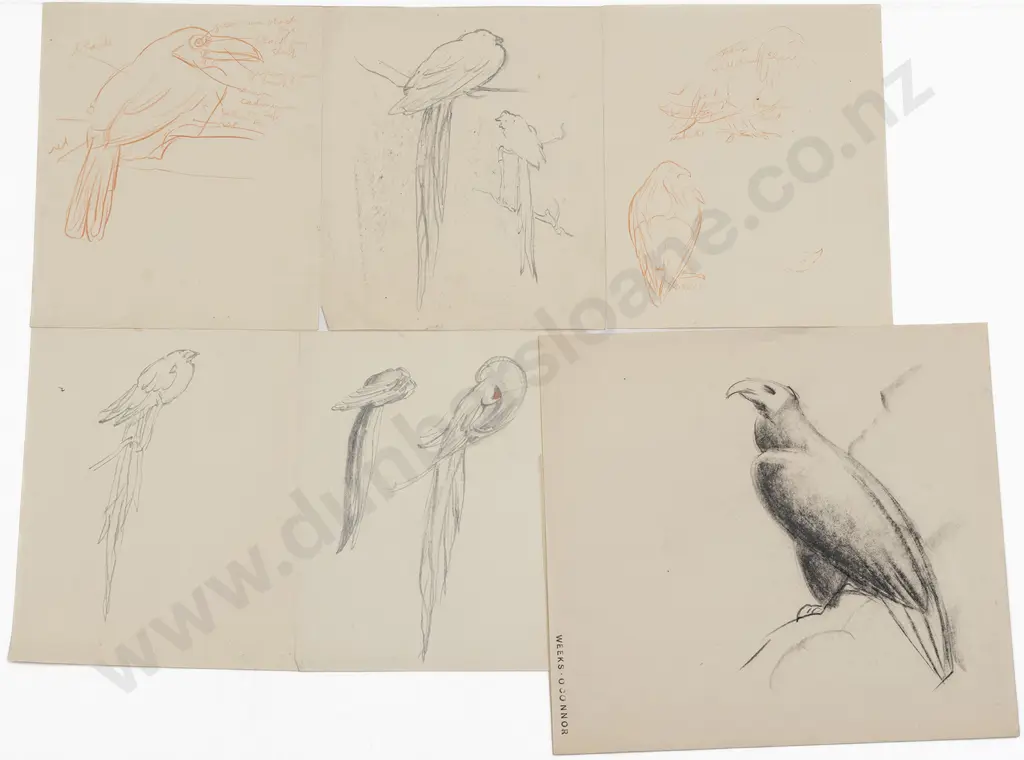 John Weeks (1888-1965) - Eighteen Various Sketchbook Studies of Animals Image 1++
