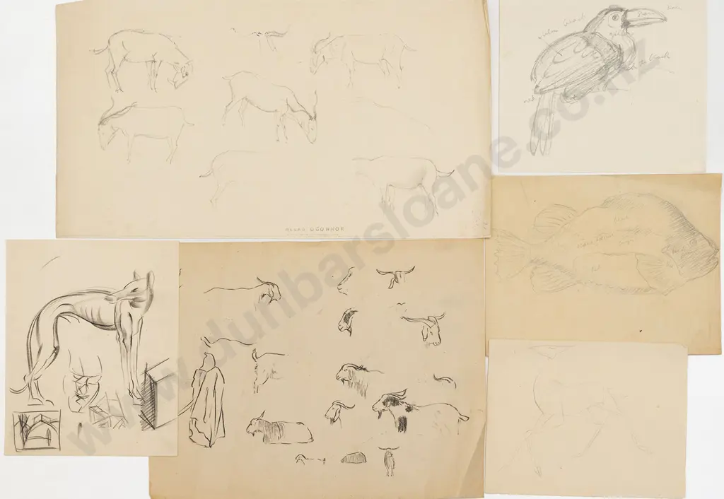John Weeks (1888-1965) - Eighteen Various Sketchbook Studies of Animals Image 1++