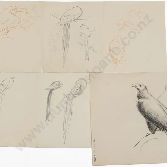 John Weeks (1888-1965) - Eighteen Various Sketchbook Studies of Animals