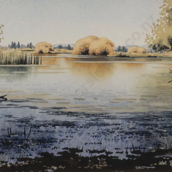 Valerie Raymond - Tokaanu Wetlands