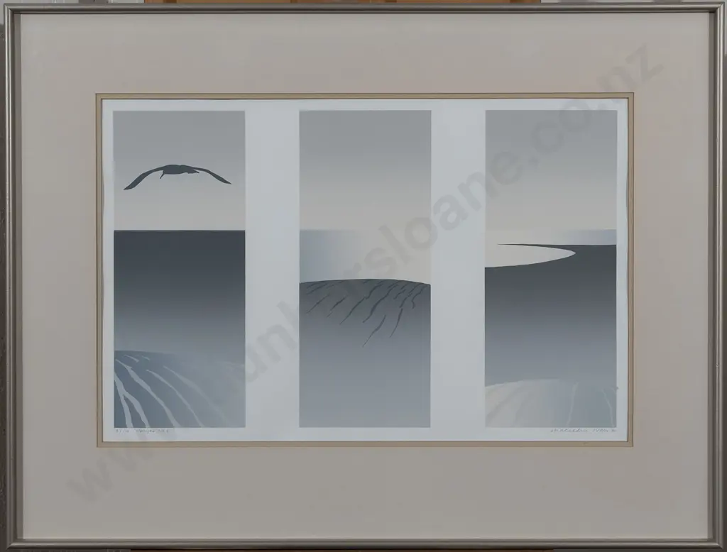 Malcolm Warr - 2 prints - Kawau over Kapiti (Black Shag) and Horizon No 8 Image 1++