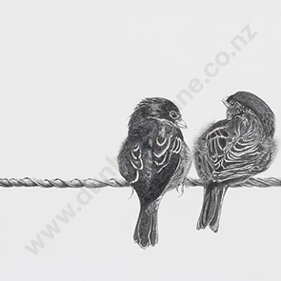 Carolyn Stephens - Untitled Birds (diptych)