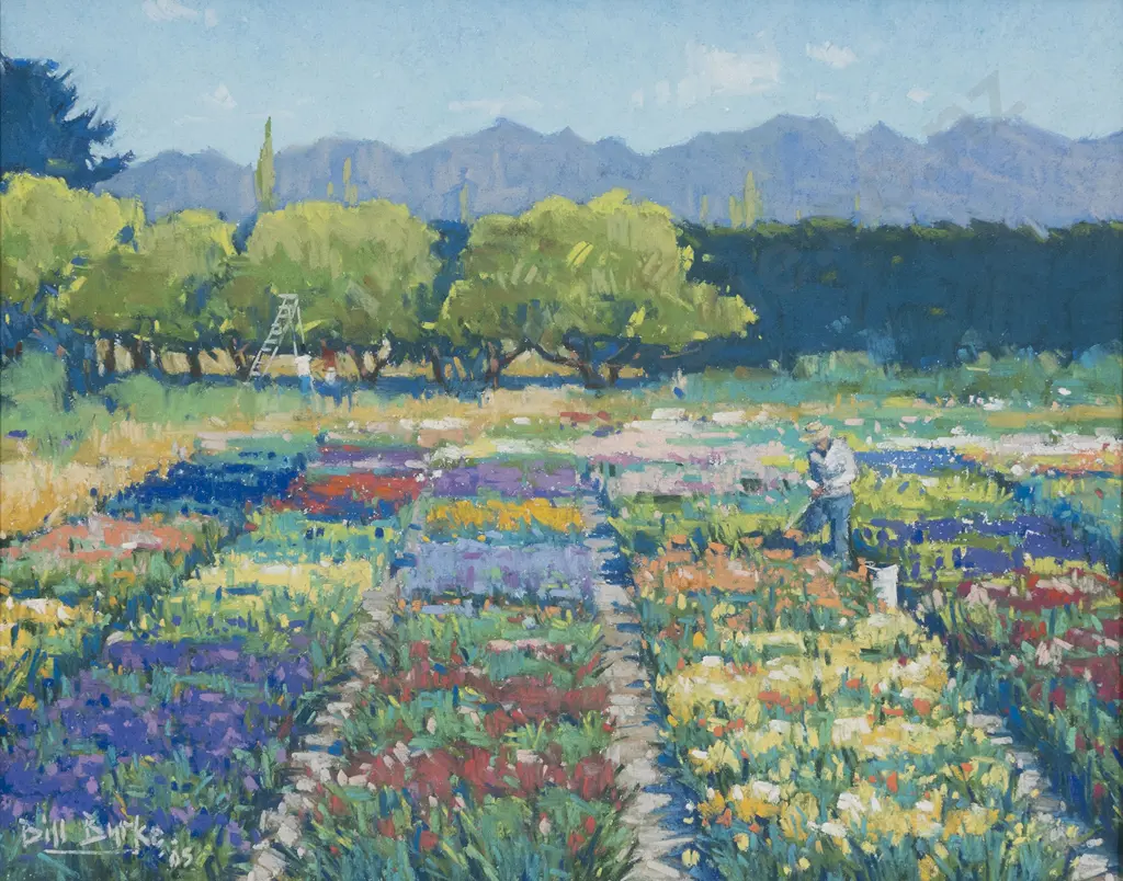 Bill Burke - The Iris Garden Image 1++