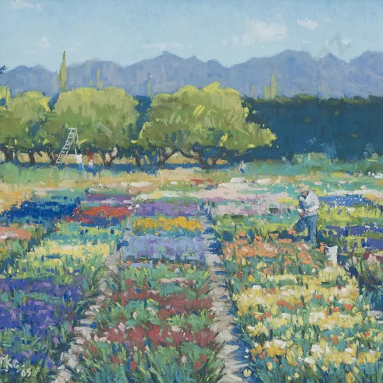 Bill Burke - The Iris Garden