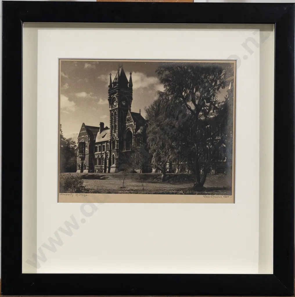 George Chance - University of Otago Image 1++