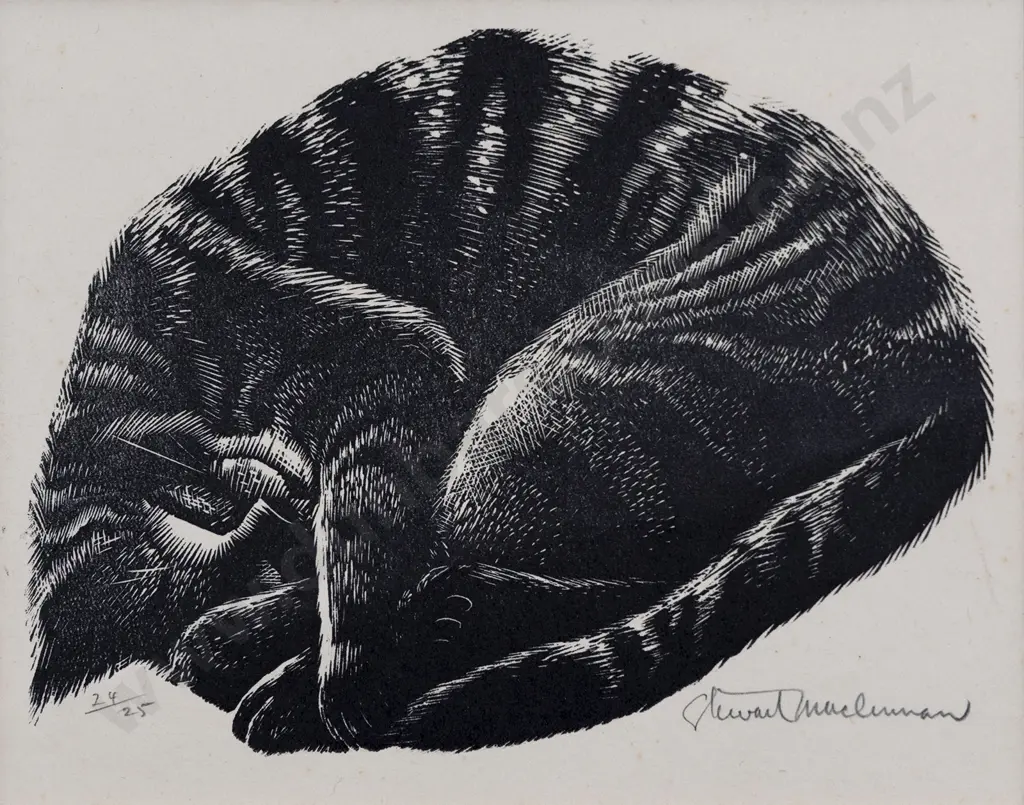 Stewart McLennan (1903-1973) - Kitten Asleep Image 1++