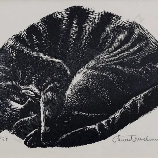 Stewart McLennan (1903-1973) - Kitten Asleep