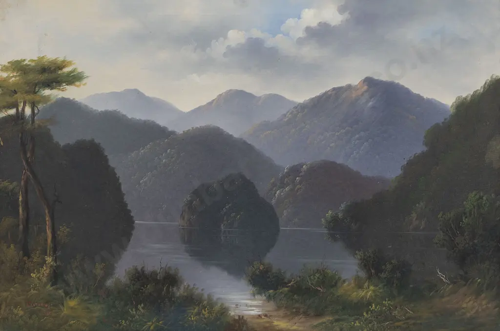 Unknown - Pelorus Image 1++