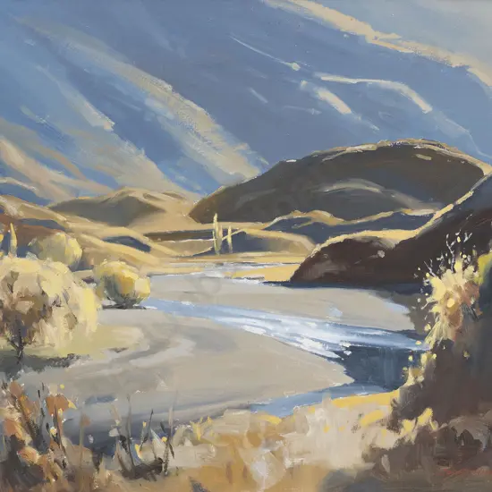 Colyn Nicholls - Motatapu River