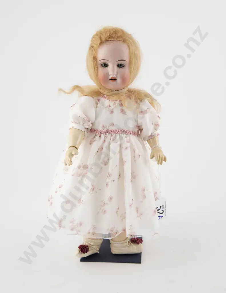 Schoenau & Hoffmeister and Theodor Recknagel Bisque Dolls Image 1++