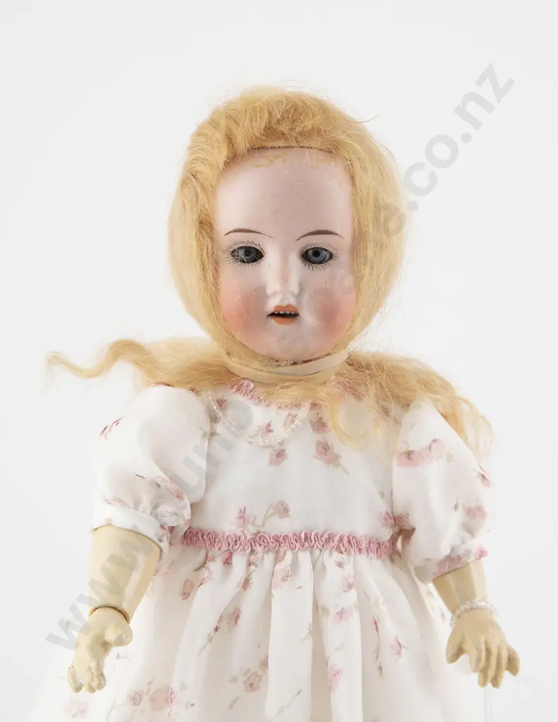 Schoenau & Hoffmeister and Theodor Recknagel Bisque Dolls Image 1++
