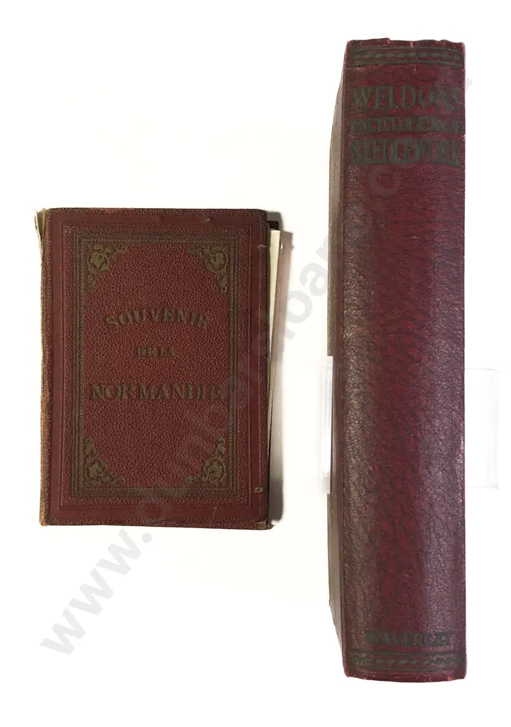 Weldons Encyclopaedia of Needlework and Antique Souvenir of Normandie Image 1++