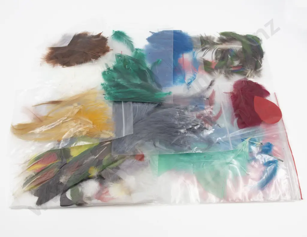 Quantity of Millinery Feathers Image 1++