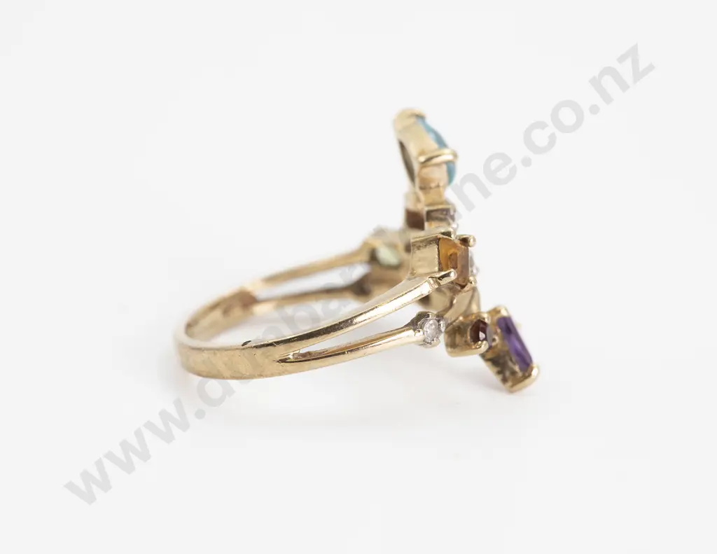 9ct 12 Stone Multi-Gem Dress Band Image 1++