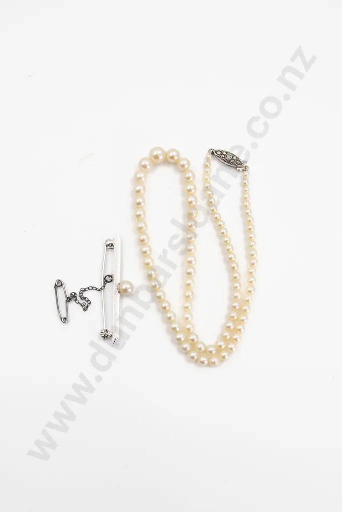 Single Strand Graduated Cultured Pearl Necklace Image 1++