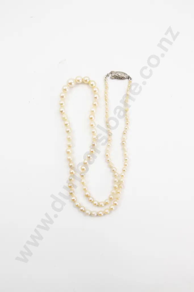 Single Strand Graduated Cultured Pearl Necklace Image 1++