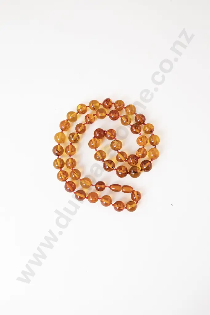 Single Strand Uniform Amber Bead Necklace Image 1++
