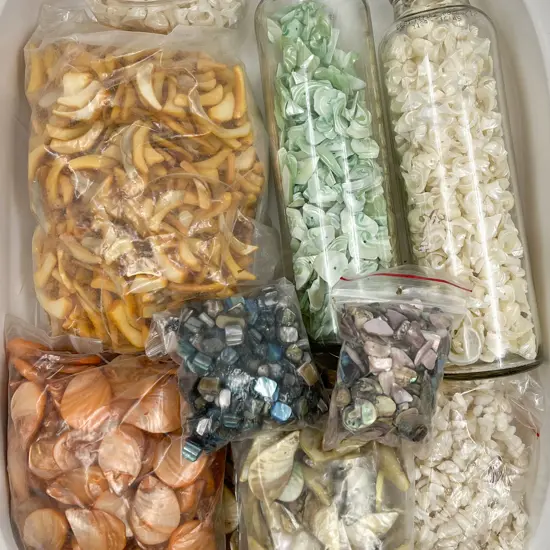 Dyed Shell Beads
