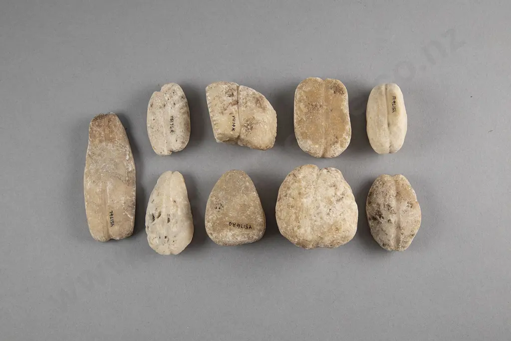 Nine Limestone Sinkers Image 1++